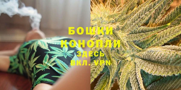 тгк Бронницы